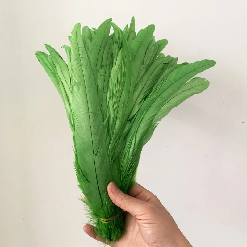 

Rooster tail feather Apple Green Colors DIY feather clothing jewelry accessories / wedding Party supplies performance necessary