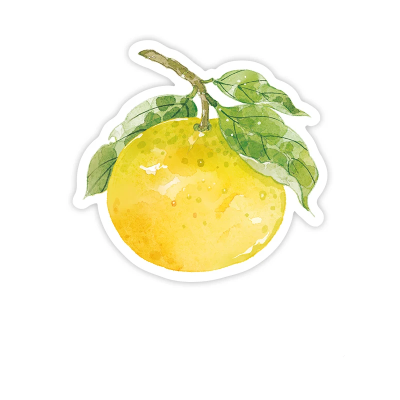 

Липкие заметки Kawaii с фруктами