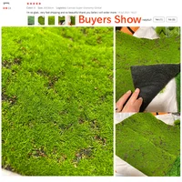 Мини газон#5