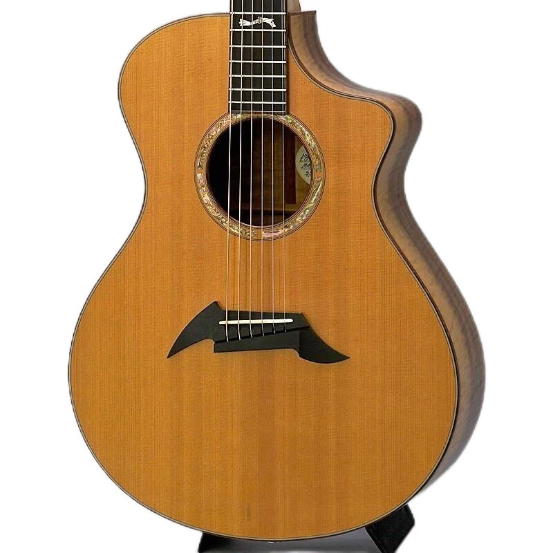 

Master Class Northwest Classic Acoustic Electric Guitar