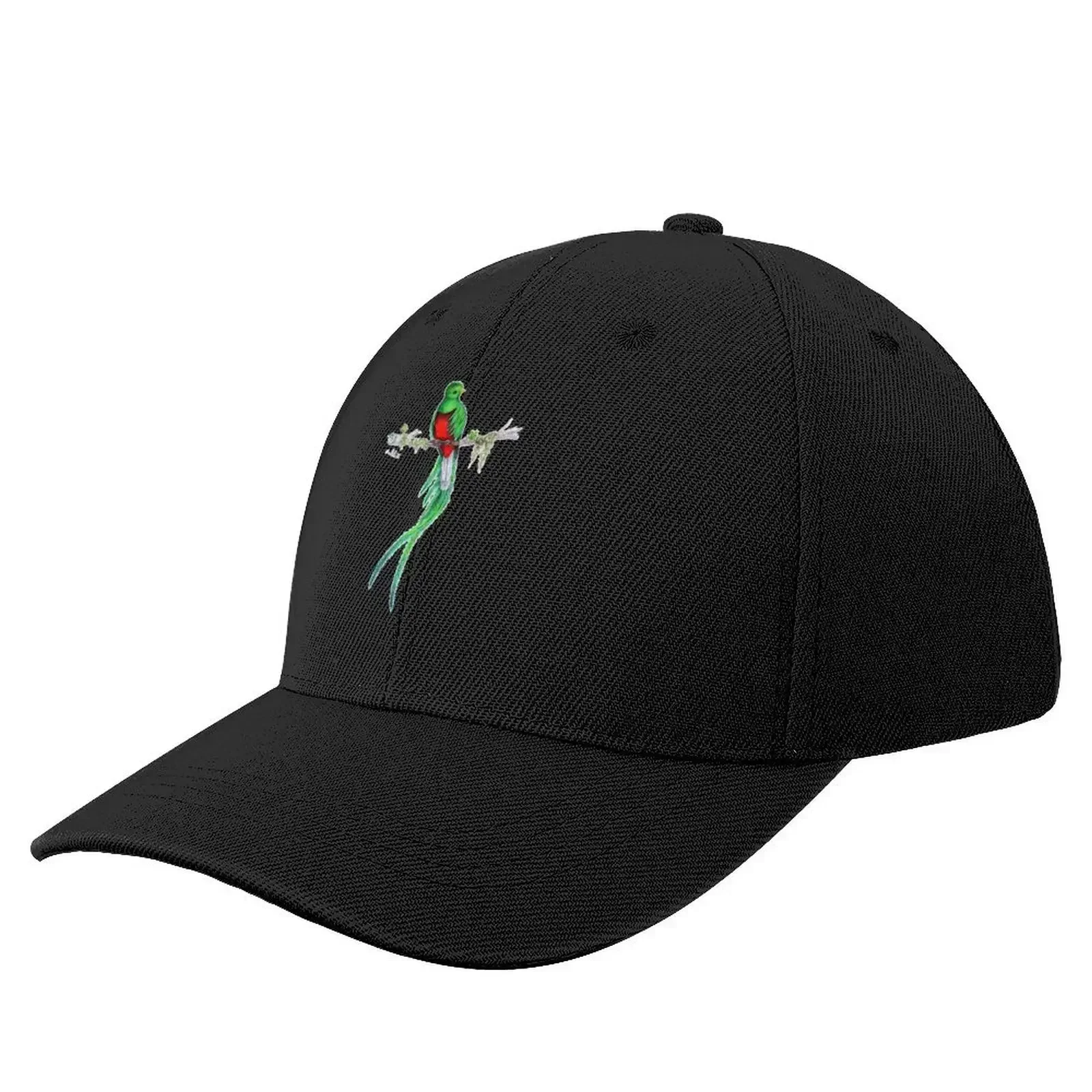 Resplendent Quetzal Бейсболка Snapback Кепка мужская шляпа большого размера Женские головные