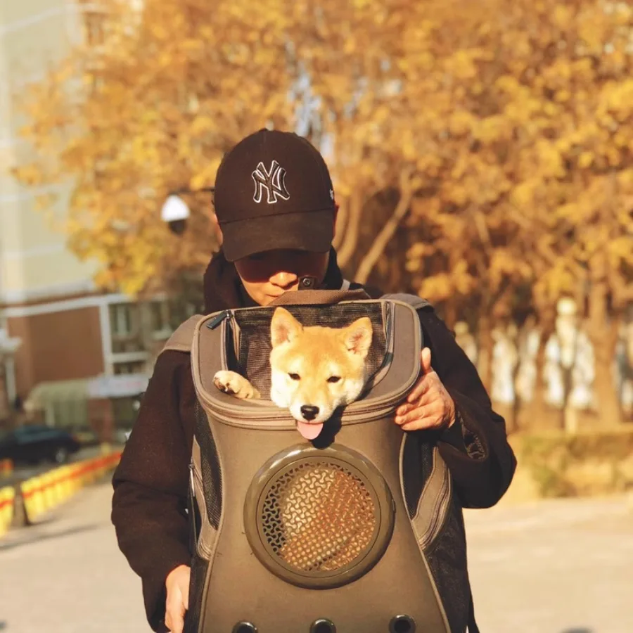 

Shoulder Space Capsule Breathable Dogs Carry Bag Comfortable Outdoor Transporter Cat Backpack Cage Bolsa Feminina Pet Supplies