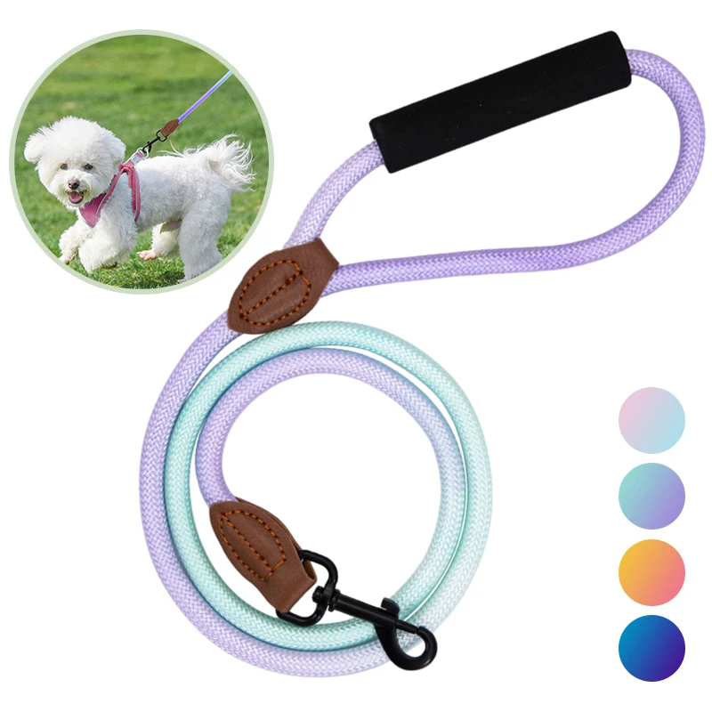 

Fashion Pet Leashes Chain with Clip Hooks Heavy Duty Pet Dog Leash Nylon Walking Running Lead Extension for Puppy Hunde Zubehor