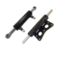 double ended hydraulic cylinder steering acting cylinder
