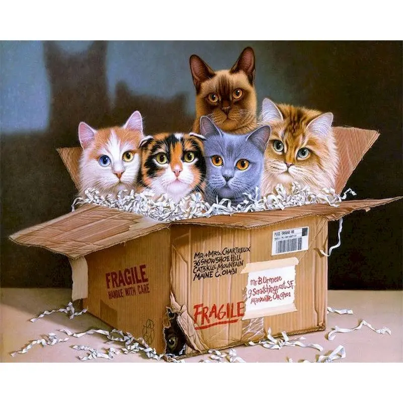 

RUOPOTY 40x50cm Paint by numbers Acrylic paints Paintings On Number Cat Paint for painting Personalized gift PAINTING DECOR