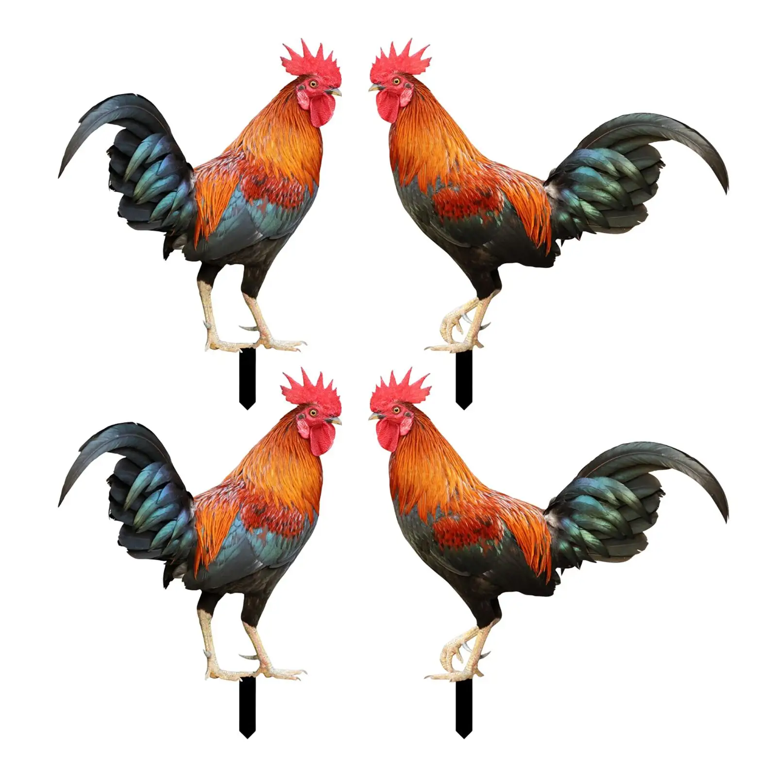

Rooster Animal Statue Garden Stakes Ornament Standing Statues for Patio Courtyard