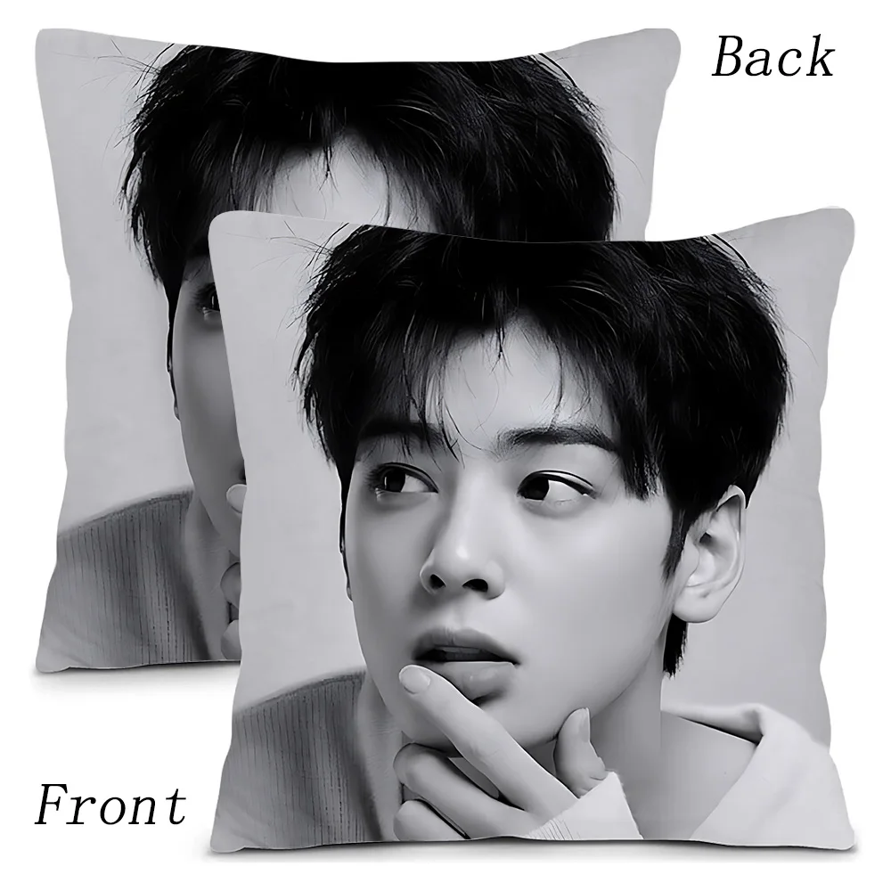 Наволочки для подушек Kpop Singer Cha E-Eun W-Woo мультяшный декоративный домашний