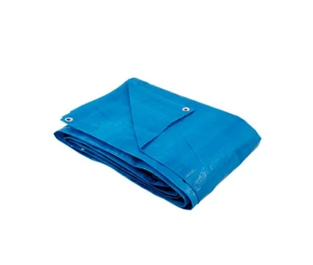 

Canvas 5 M. x 4 m. Polyethylene wax 70 g/m² Blue Ajax