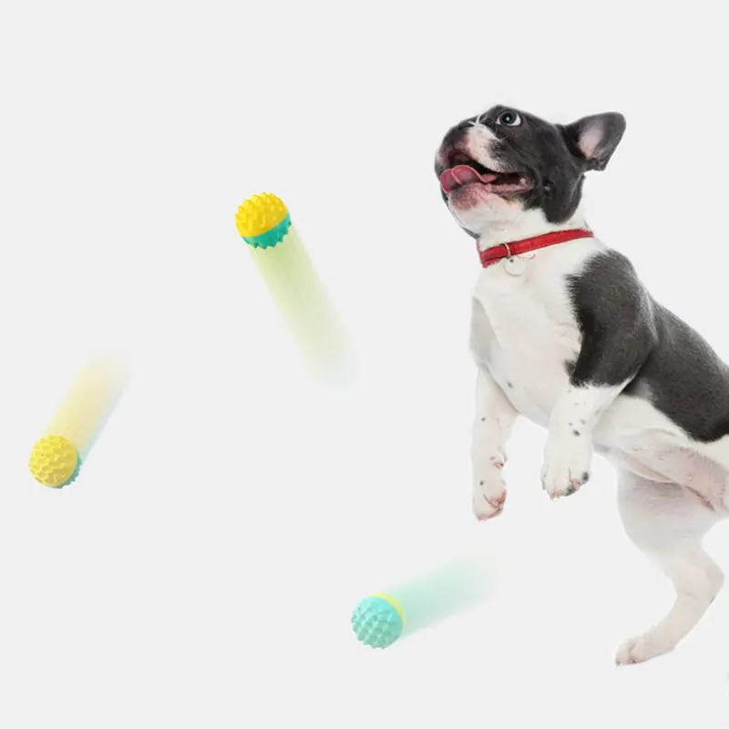 Мяч для домашних животных 2 шт