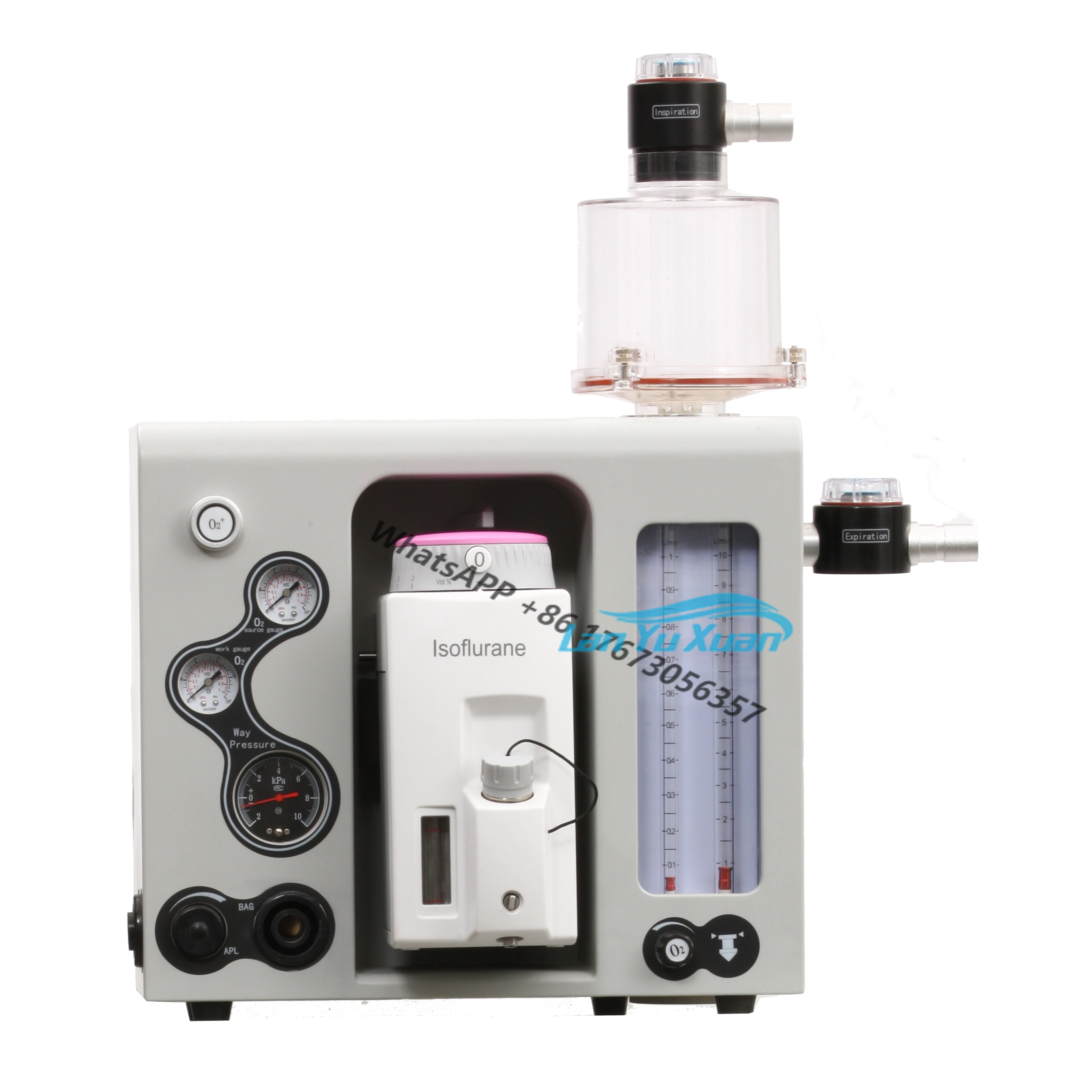 

Medical Anesthesia Equipment Vet Hospital Clinic Veterinary Gas Machine for Sale