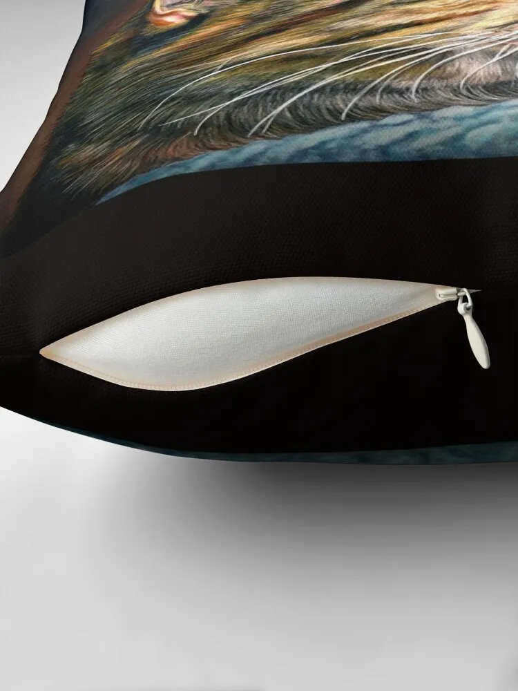 Подушка для дивана с изображением кота из мейн-енота