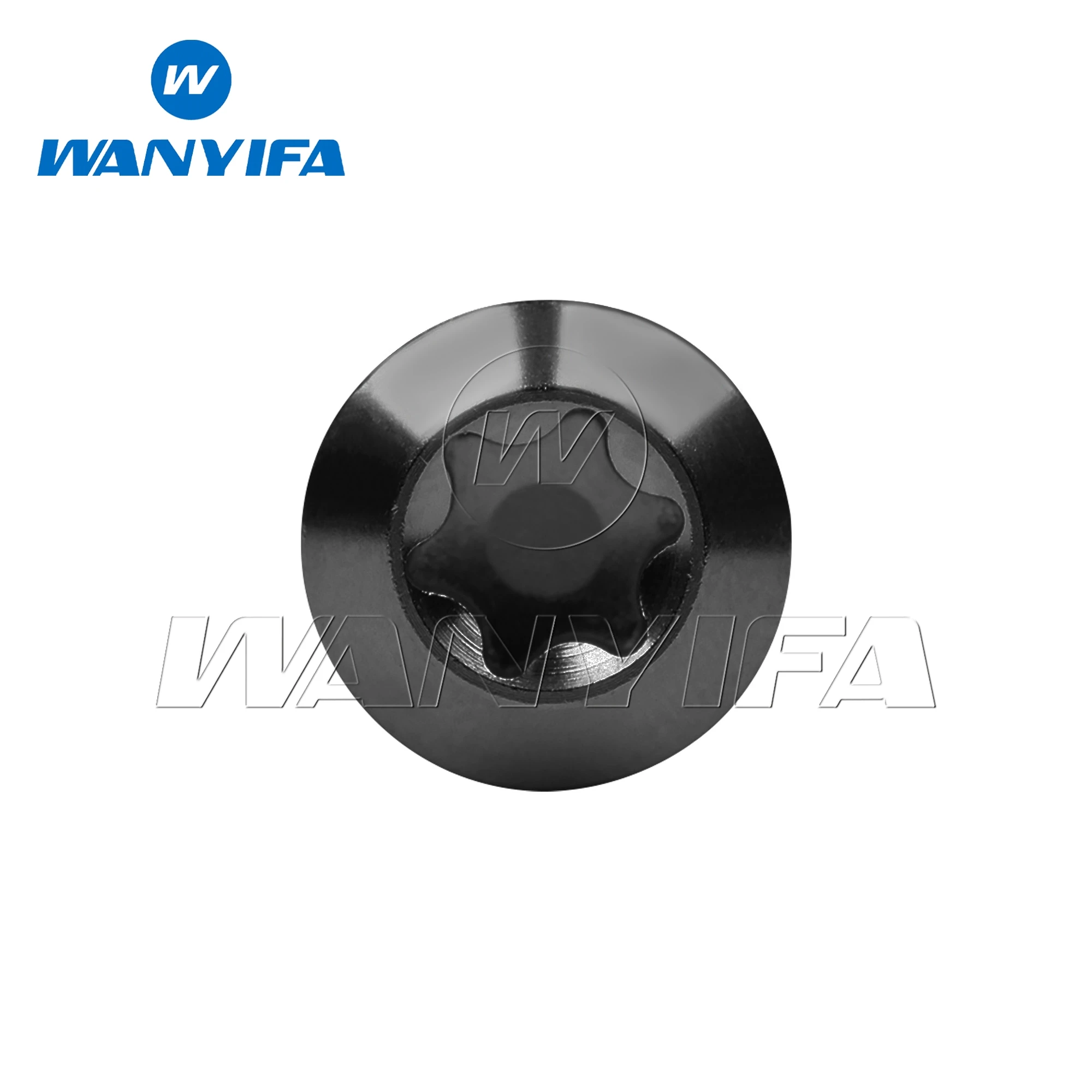 Титановые болты Wanyifa M5x10/15/20/25/30/35/40/45/50/55/60 мм T25