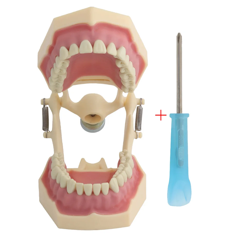 Frasaco AZ-3 32 шт. набор зубов для стоматологической модели модель обучения