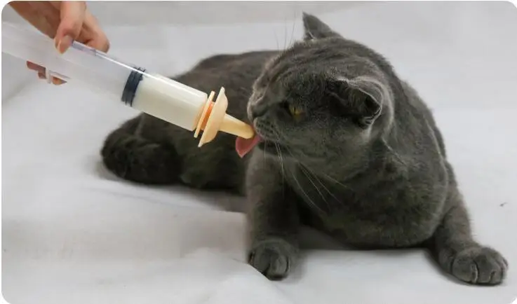 

Pets Feeding Pacifier Silicone Feeding Syringe Set for Kittens Puppies Rabbits