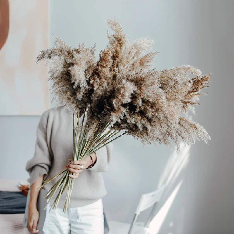 Pampas grass Wedding