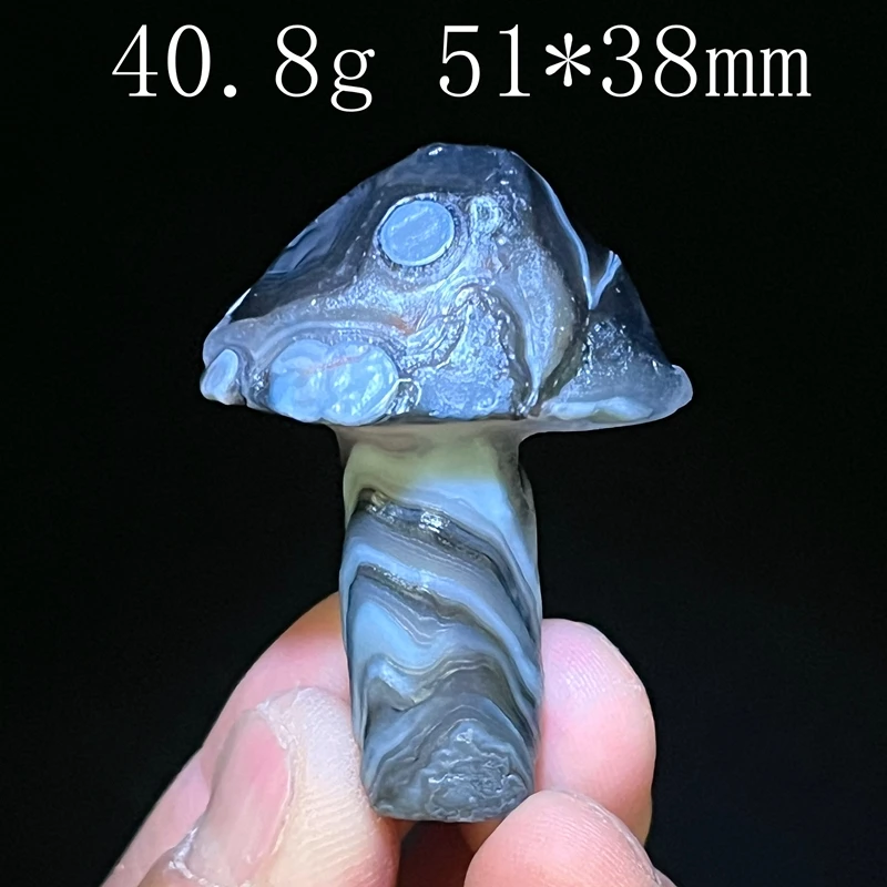 

Энергетический кристалл Агат гриб Алса Гоби