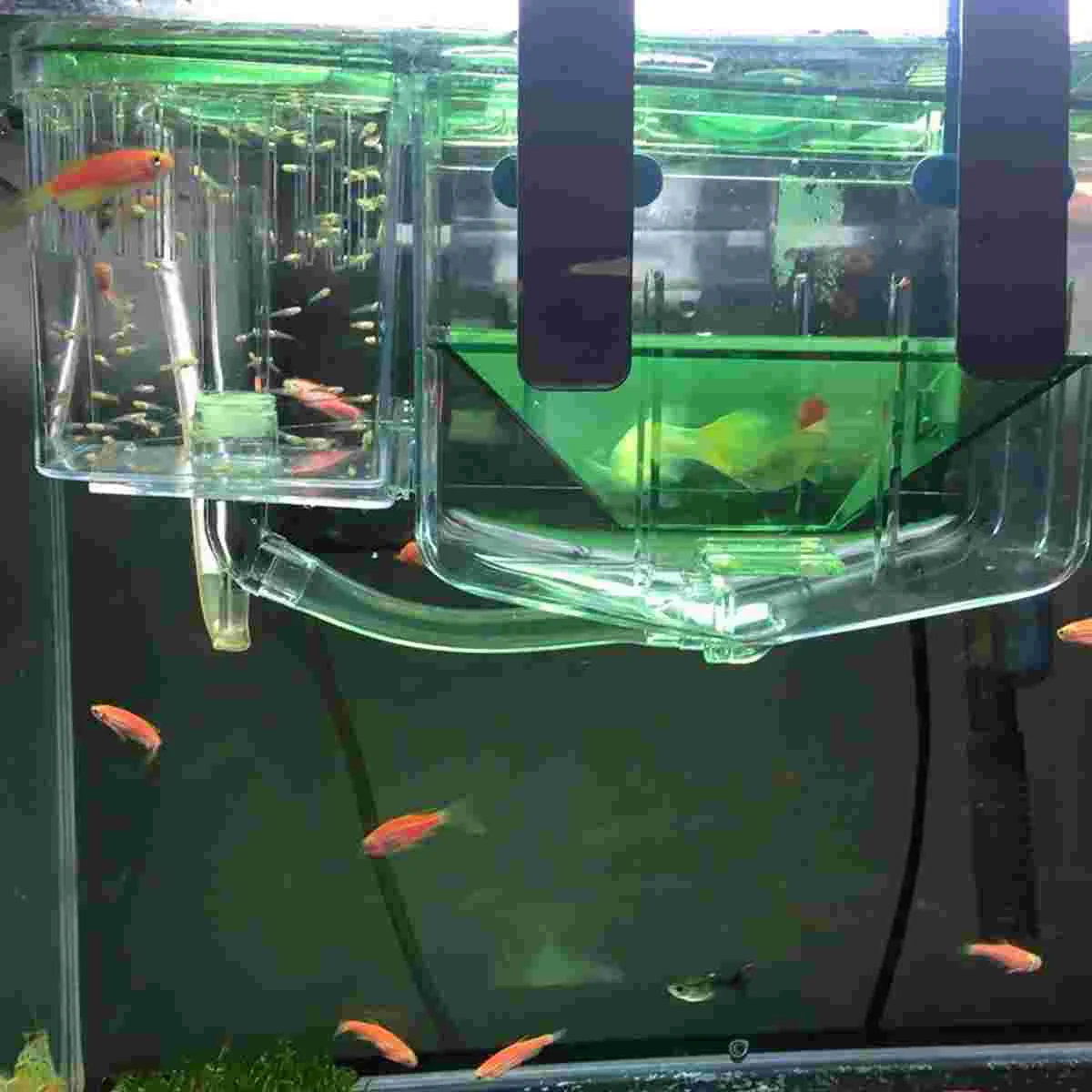 Fish Incubator Aquarium for Maternity Hatchery Aquariums &amp Bowls Tank Guppy Filters Feeder Sponge Decorate Aqaurium Paridera