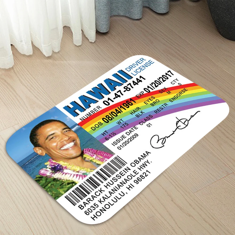 

Коврик дверной HAWALL Для водительских прав, домашний ковер для входной двери, современный декоративный ковер, коврики для пола в ванную комнату 035