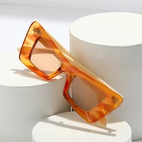 2022 new designer contrast color cat eye sunglasses fashion cat eye frame glasses luxury sunglasses men and women