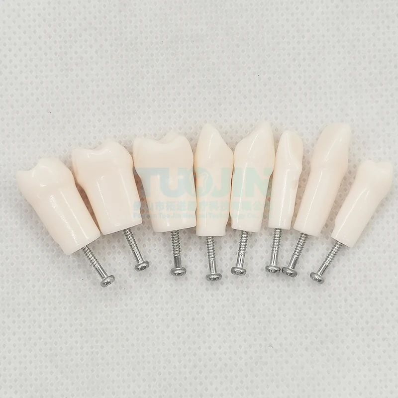 Бесплатная доставка зубные полимерные зубья модели 32 съемный винт с