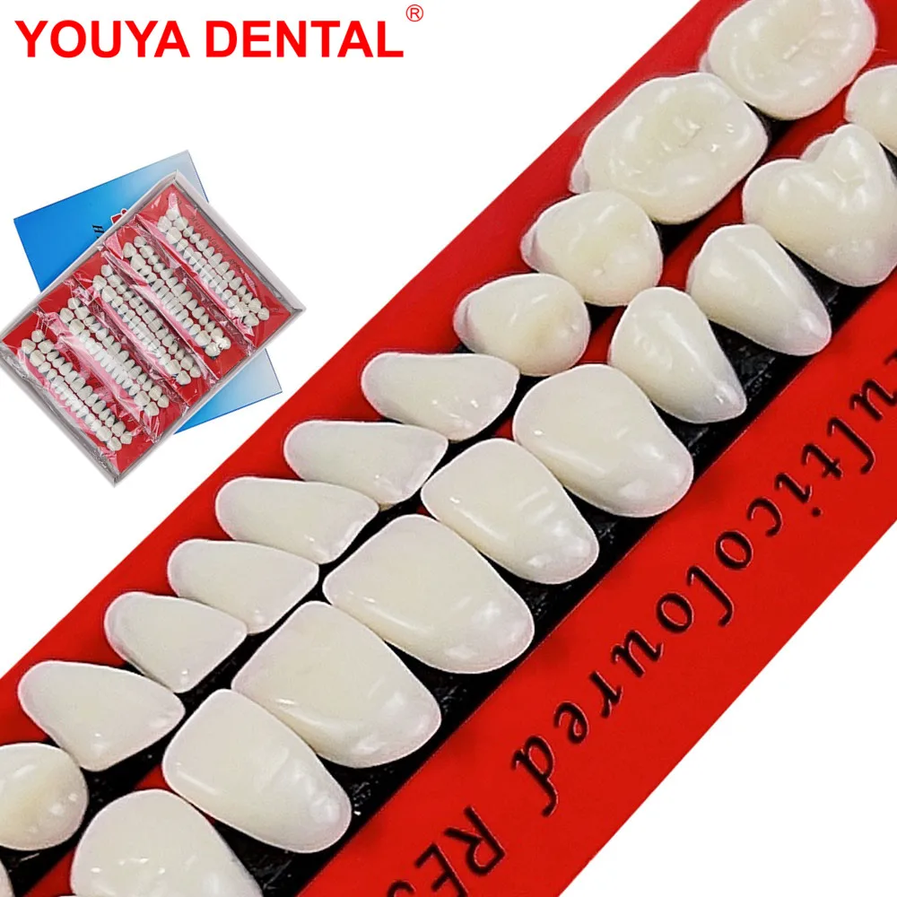 10/20sets Resin Teeth Denture 28pc/set Universal Resin False Teeth Dental Material Durable Fake Full Mouth Tooth Model Dentistry