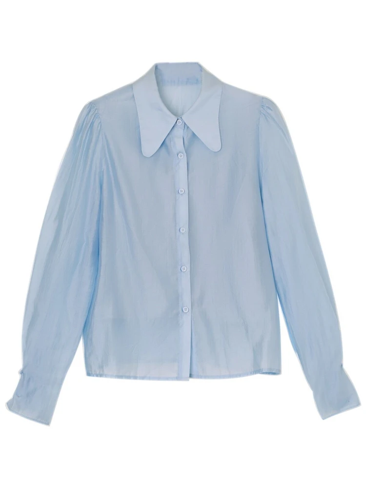 

Spring New Rayon Lapel Pointed Collar Shirts Long Sleeves Sky Blue Versatile Simplicity Solid Transparent Office Lady Blouses