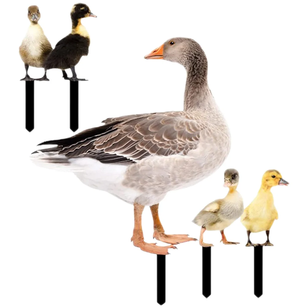 

Yard Sign Outdoor Statues Adornment Garden Duck Stake Spring Fling Decorations Ornament Metal