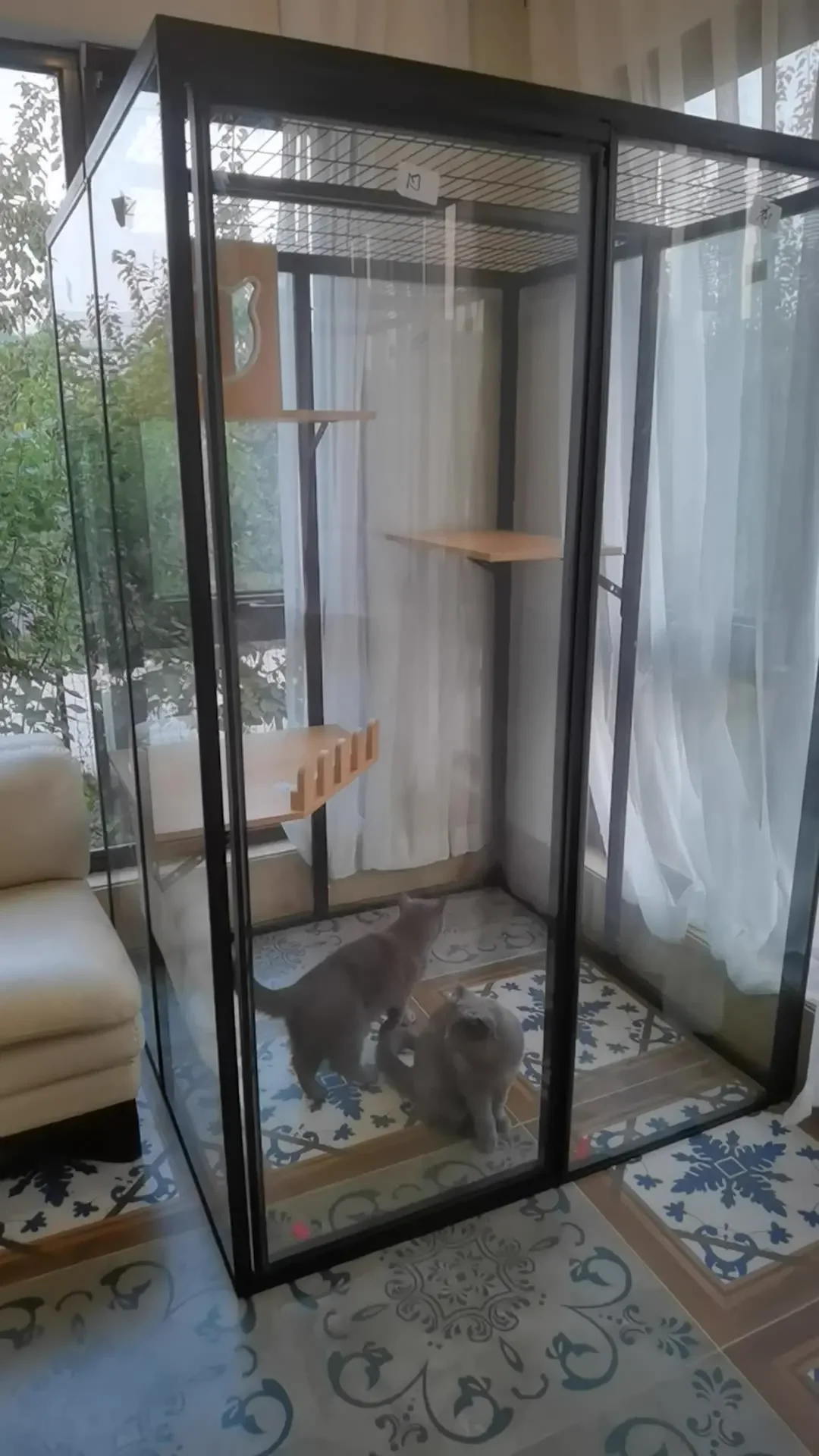 Большая переноска для кошек вилла дом большое пространство стекло балкон