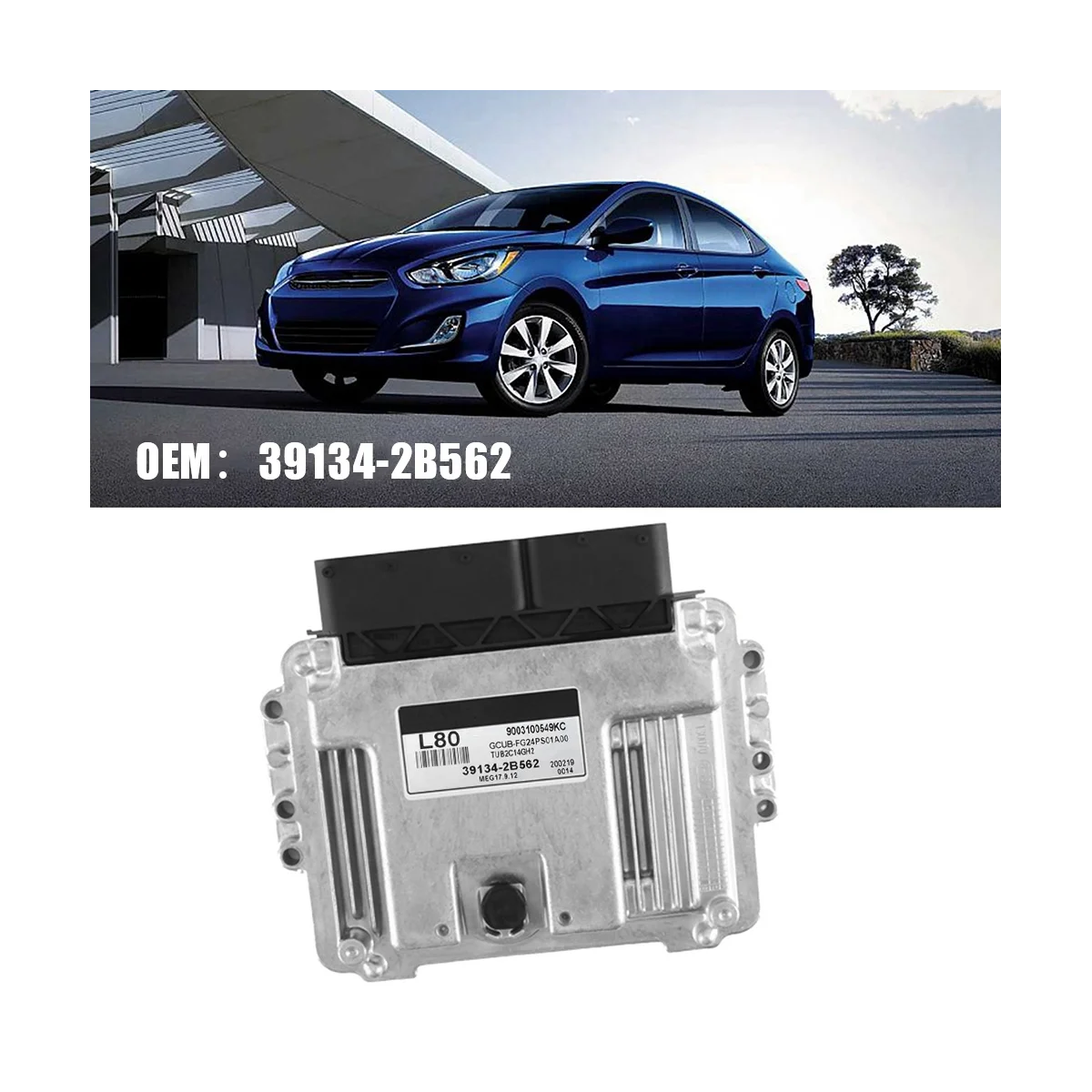 

39134-2B562 ECU Car Engine Computer Board Electronic Control Unit for MEG17.9.12.1 L80