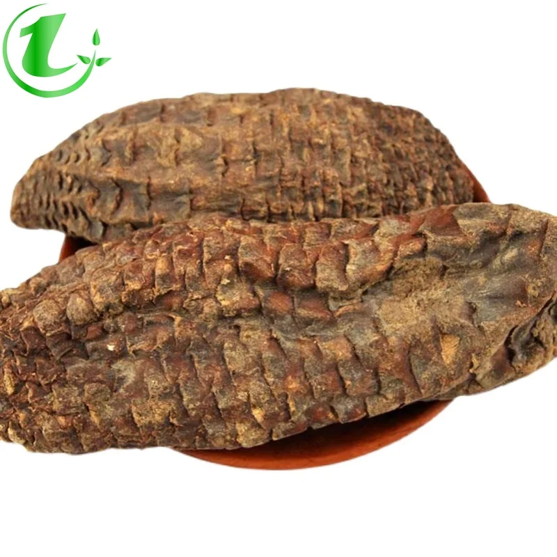 

Цистанхе, Синьцзян, тоник для мужчин, китайская медицина, эпимедиум циноморий