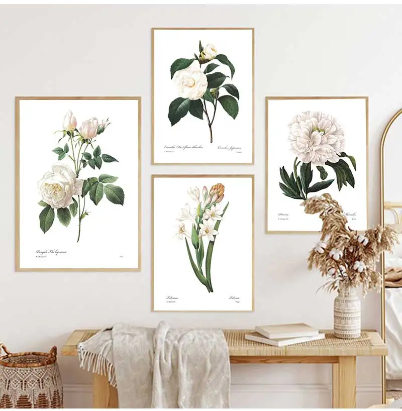 Постеры и принты розовых белых растений в цветочек ботаническая Картина на