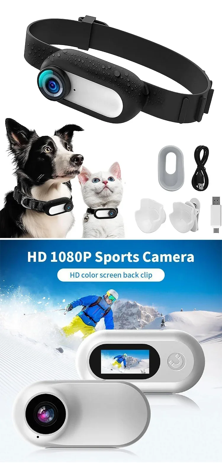 Регистратор для домашних животных перспектива кошек и собак запись движения