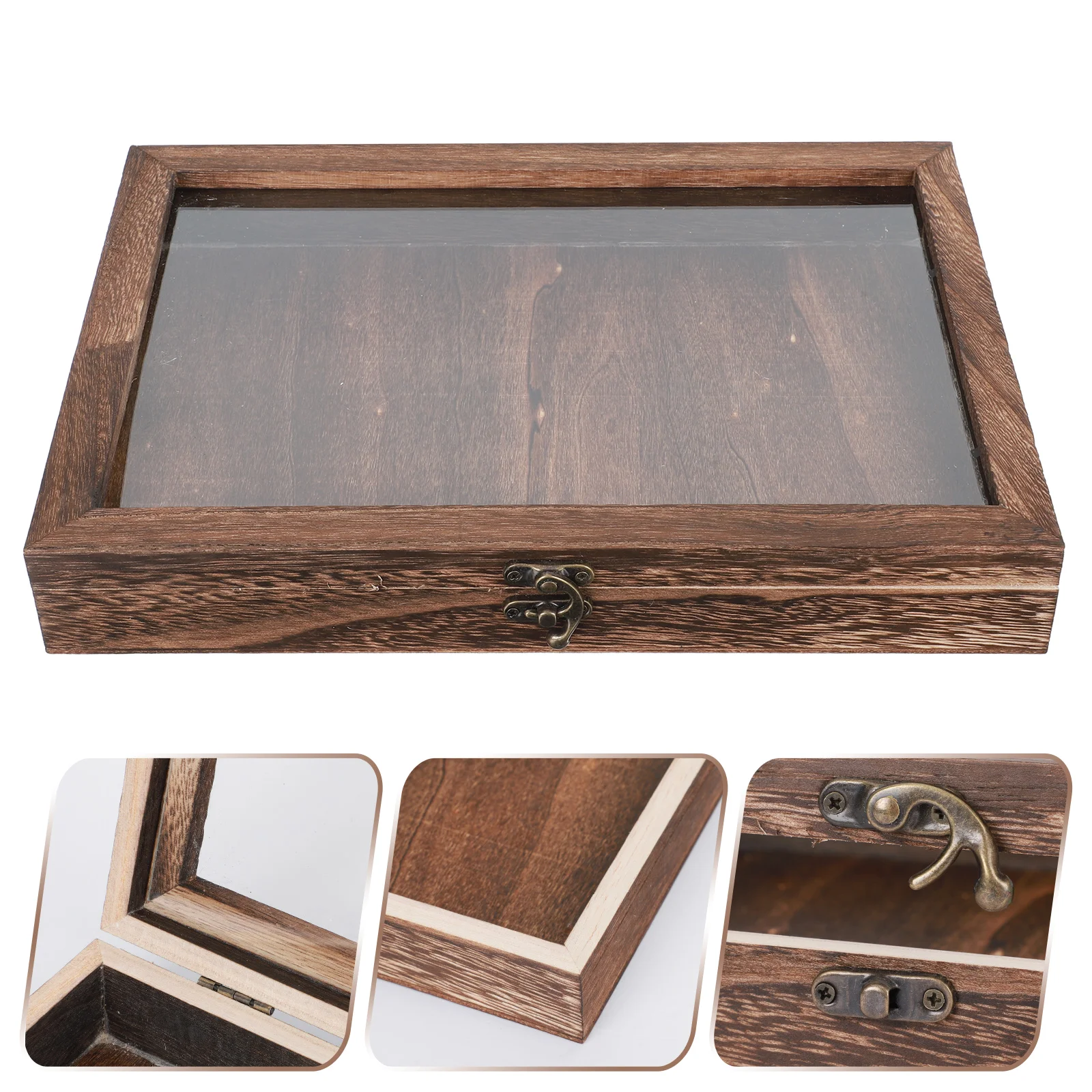 

Wooden Display Case Tempered Glass Lid Insect Specimen Box Large Container Cases