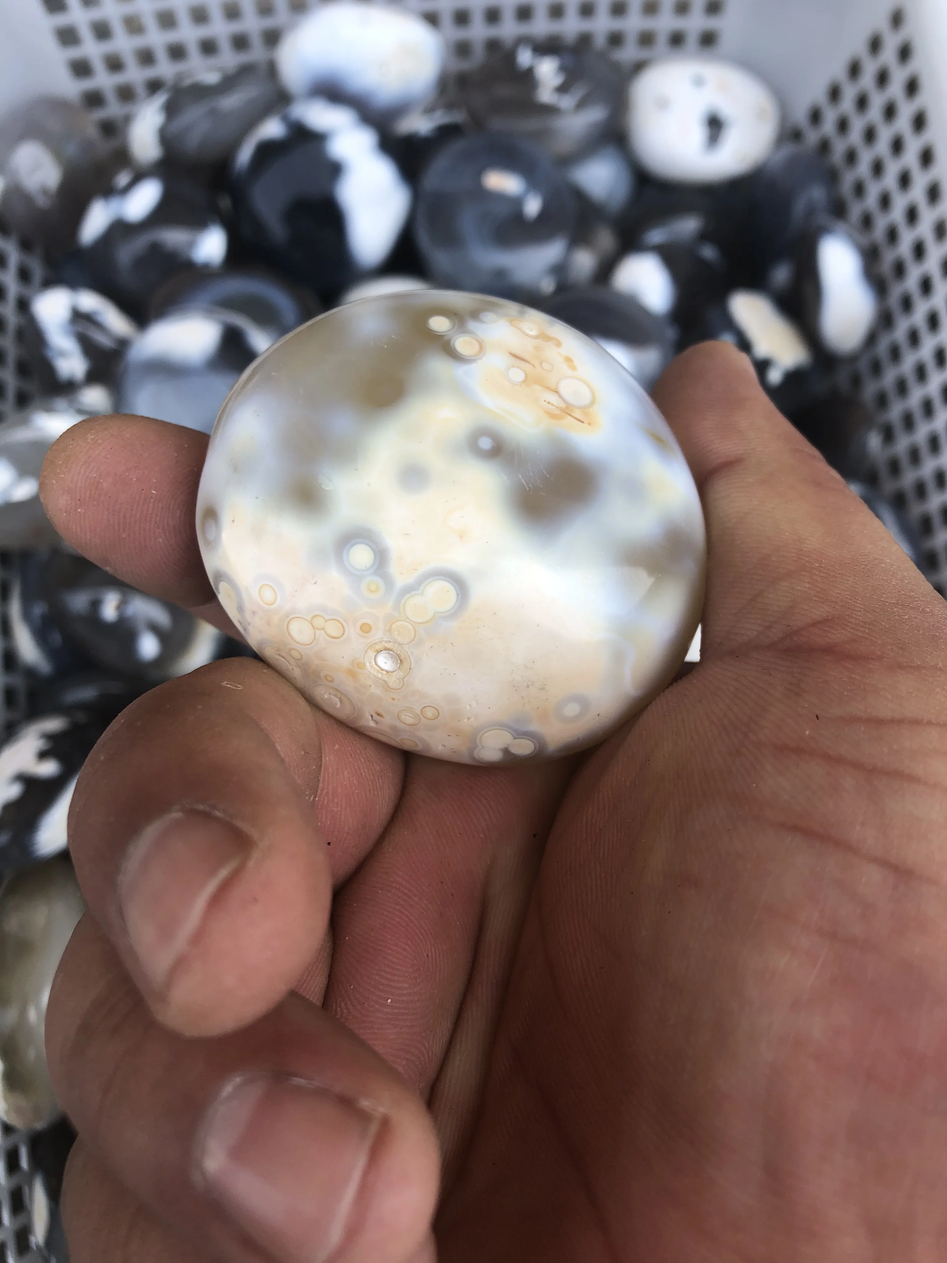 1Kg Nature Stone Nature Crystal White Agate Is Also Known As Orca Agate Named For Its Appearance Like A Killer Whale