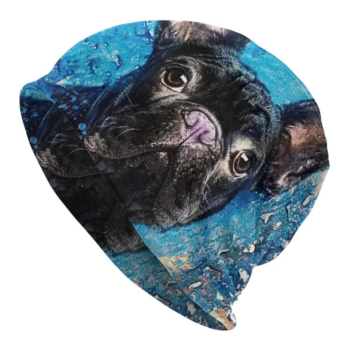 French Bulldog Frenchie Dog Bonnet Hat Knitting Hats Autumn Winter Street Animal Skullies Beanies Warm Thermal Elastic Cap