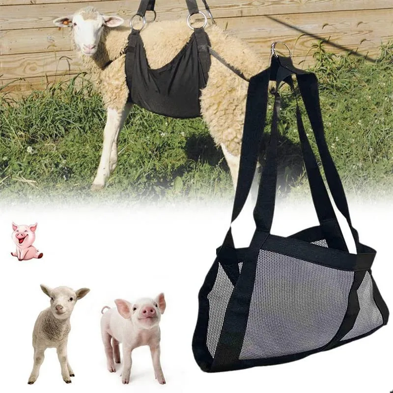 

Foldable Hanging Weight Scale Sling With Adjustable Straps For Weighing Calves Lambs Goats Livestock Dog Cat Rabbit Sheep