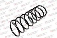 

Store code: 104020F for coil spring E34 8895