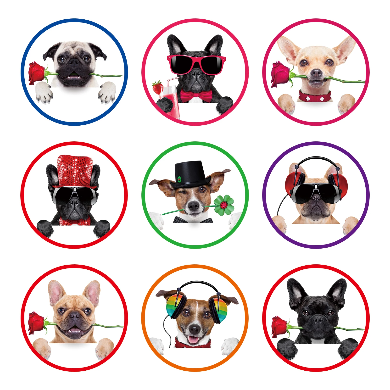 

KK051 180pcs Pet Kawaii Cat Dogs Animal Graffiti Stickers Cartoon Decals Kids Toy DIY Diary Scrapbook Phone Laptop Bake Sticker