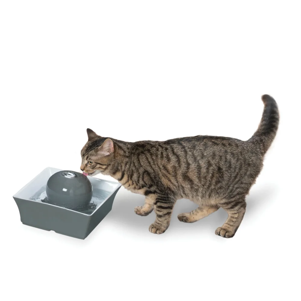 

Drinkwell Seascape Ceramic Pet Fountain, Dog & Cat Water Bowl, 70 Oz,13.00 X 11.38 X 8.13 Inches