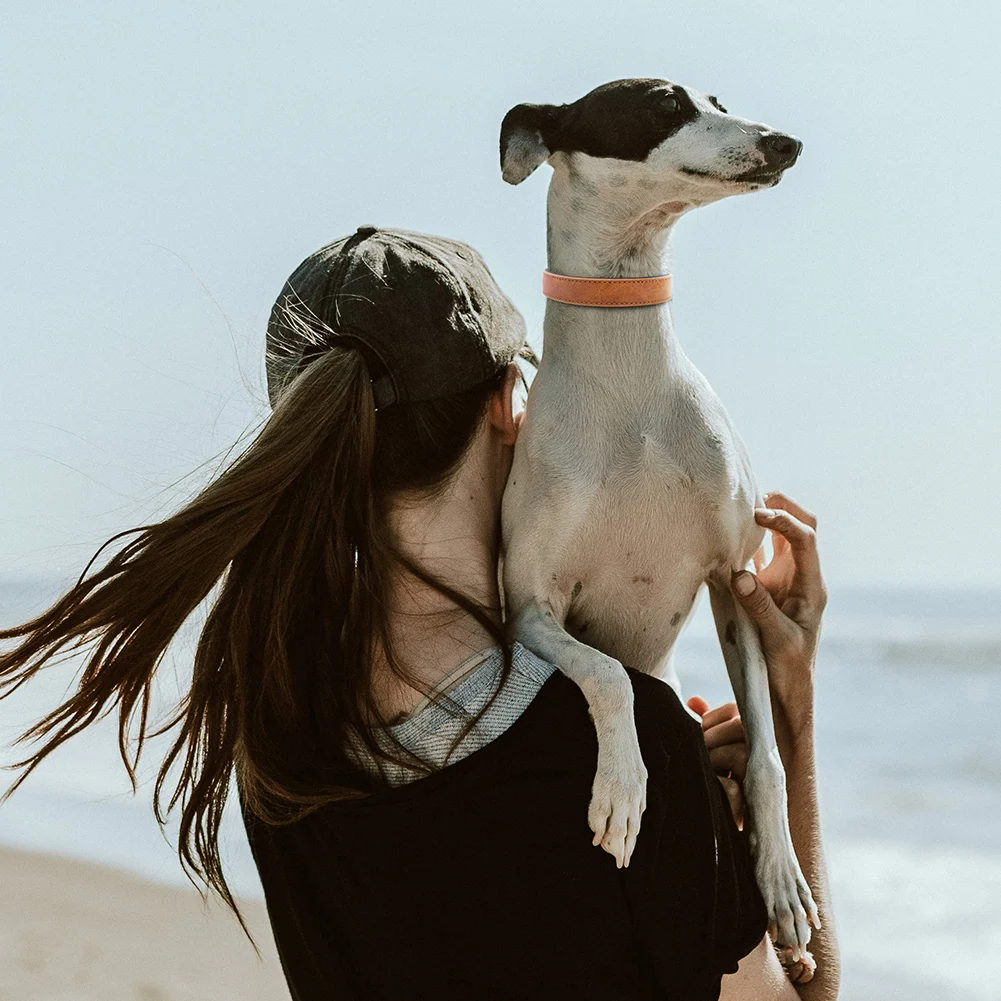 Ошейник из натуральной кожи для собак ошейник маленьких средних и больших