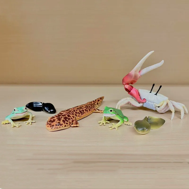 Фото Реалистичные фигурки водных животных Gashapon: Лобстер, Краб-отшельник, Краб, Краб-подкова, Лягушка — Коллекционные модели игрушек №2