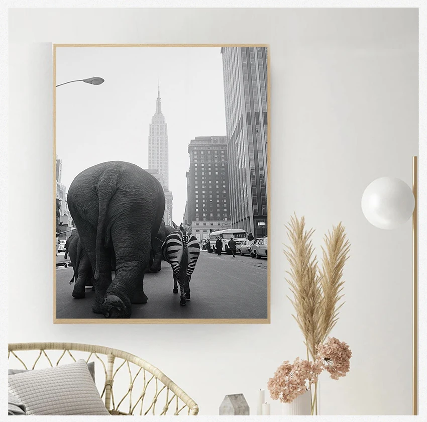 Животные, зоопарк, слон, Зебра в Нью-Йорк, фотографии, печать, домашний декор, животные, лама, винтажное настенное искусство, холст, постер, живопись