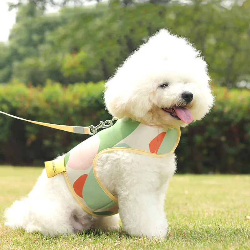 

Жилет и поводок для собак, светоотражающая дышащая Регулируемая уличная одежда для маленьких собак, для прогулок и прогулок на груди