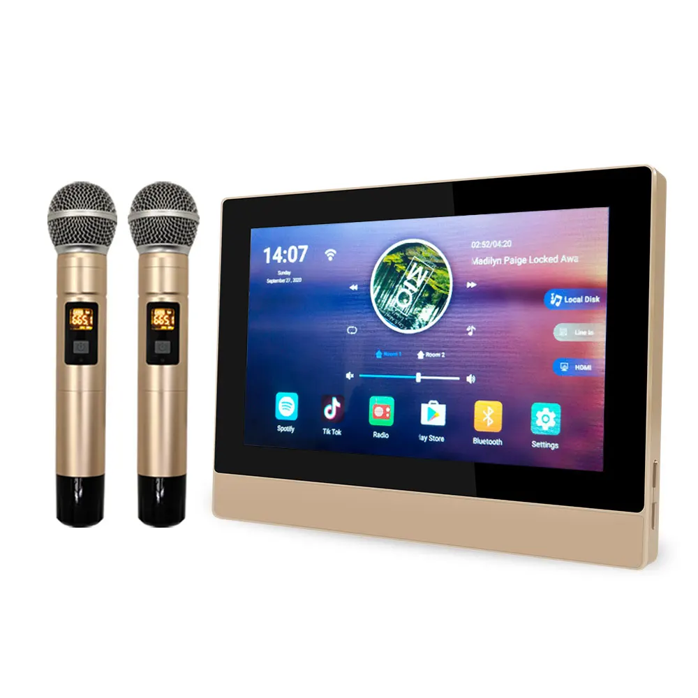 

Blue-tooth WiFi Wall Amplifier Android Stereo 8 CH Powered Karaoke Amplifier With Handheld Wireless Microphone