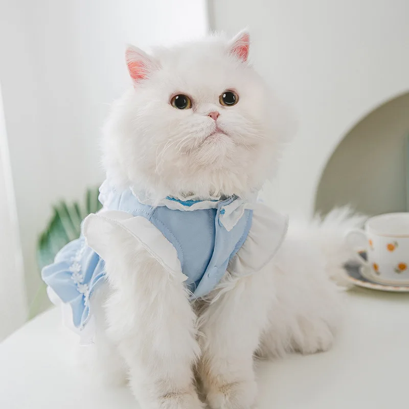 

New Cat Lace Maid Dress Spring Thin Women's Dog Princess Skirt Pet Ribbon Bow Tie Costume Two-legged Cat Clothes Pet Supplies