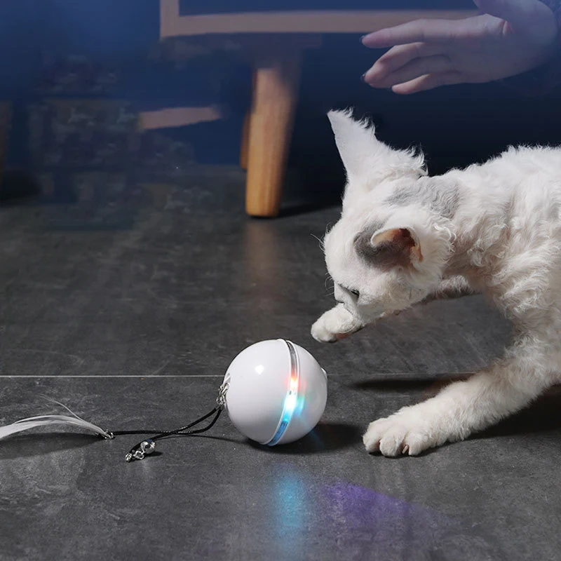 

New led light cat toy feather electronic interactive smart ball Pet products accessories for cats toys Interesting products