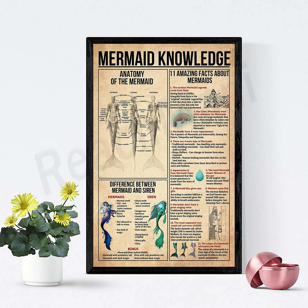 Плакат &quotЗнания о русалке&quot ReachMani