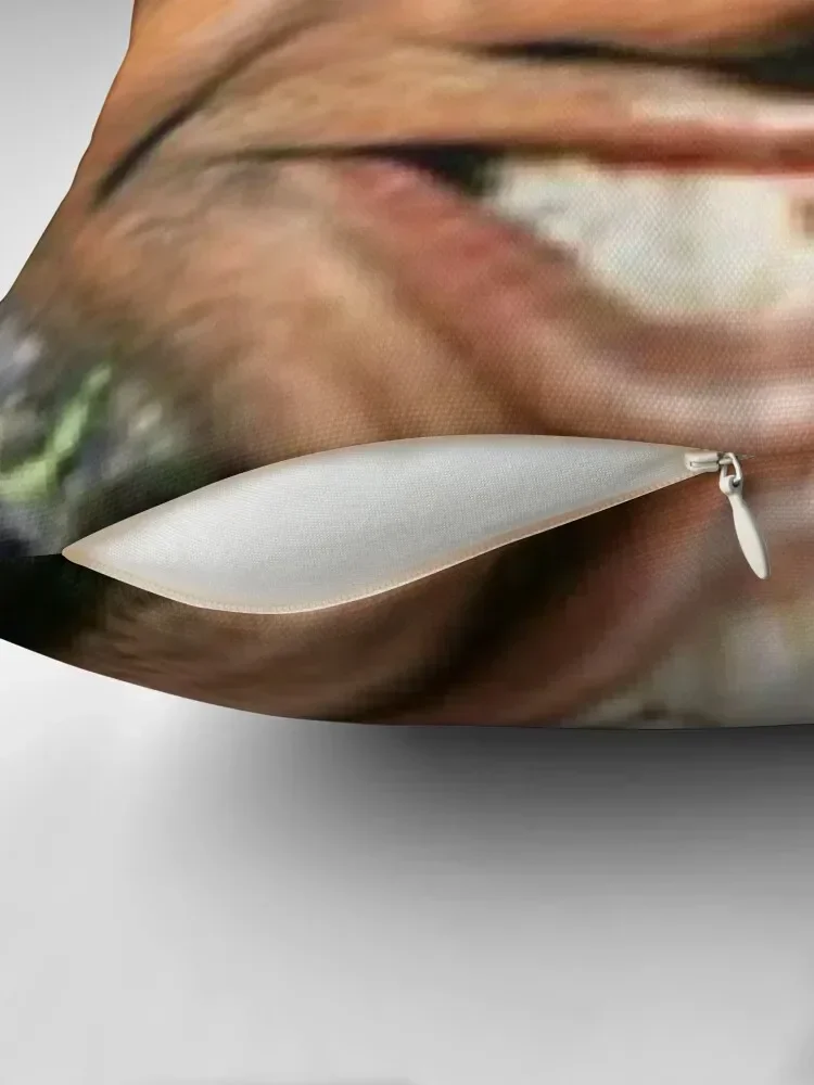 Наволочка для подушки Ainsley Harriott наволочка под заказ фото Наволочки гостиной