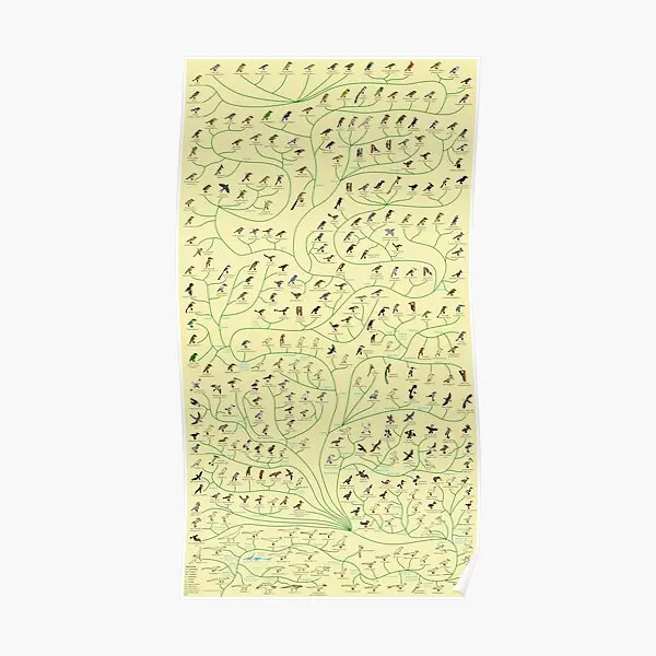 

Плакат с деревом птиц, забавная Настенная картина, современная картина, роспись, украшение для дома, художественная живопись, винтажный дек...