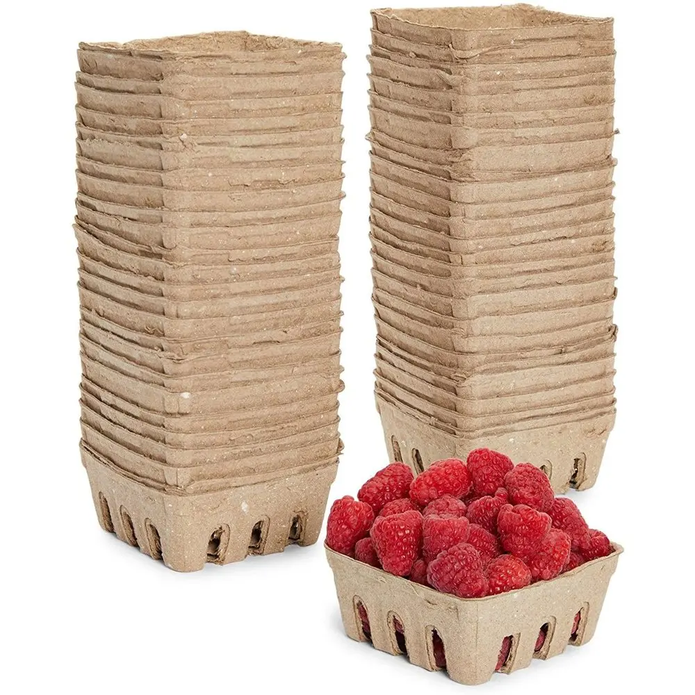 

60 Pack Disposable Pulp Fiber Berry Strawberry Baskets Bowl, Produce Containers Box for Fruit Vegetable and Fridge, 1/2 Pint, 4